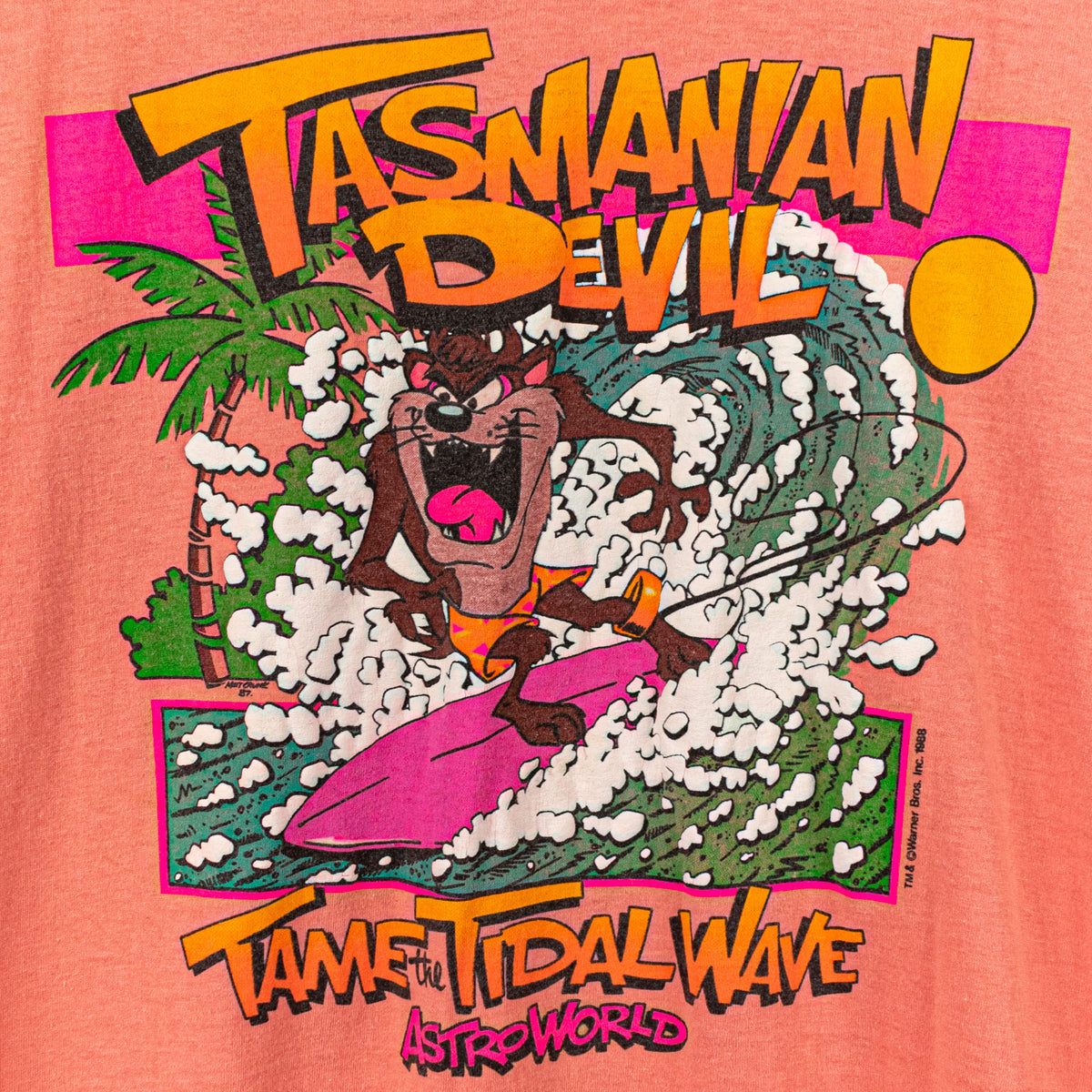 1988 Warner Bros Astroworld Tasmanian Devil Taz Tame The Tidal Wave T