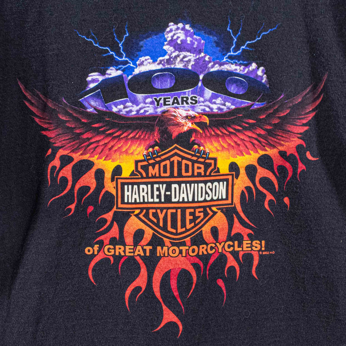 Harley Davidson Motorcycles Lightning Eagle T-Shirt Oslo