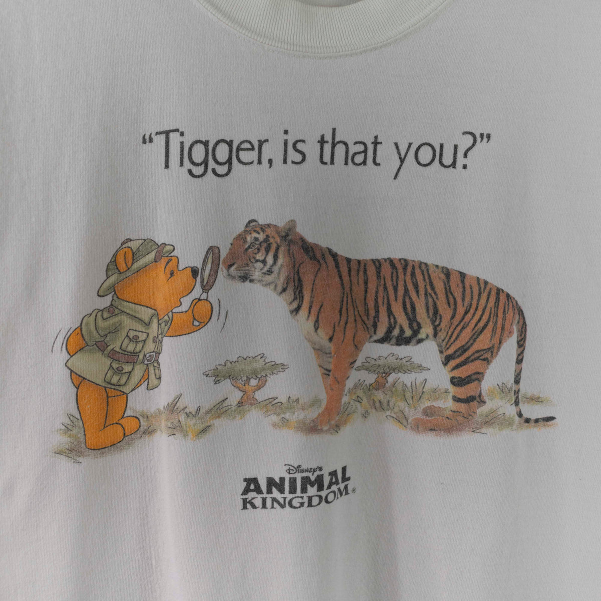 Walt Disney World Animal Kingdom Winnie The Pooh Tigger Is That You T-–  VNTG Shop | T-Shirts