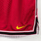 NIKE Swoosh Mesh Shorts