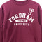 Champion Fordham University Sweatshirt