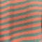GAP Striped Surf Skate T-Shirt