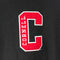 Russell Athletic Cornell University Ivy League Hoodie Sweatshirt