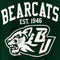 Champion Binghamton University Bearcats All Over Print Sweatshirt