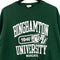 Champion Binghamton University Bearcats All Over Print Sweatshirt