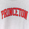 Champion Reverse Weave Princeton University Sweatshirt