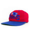 Team NFL New England Patriots SnapBack Hat