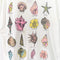 Seashells by The Seashore Art T-Shirt