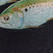 2004 Guy Harvey By Aftco Bluewater Fish Long Sleeve T-Shirt