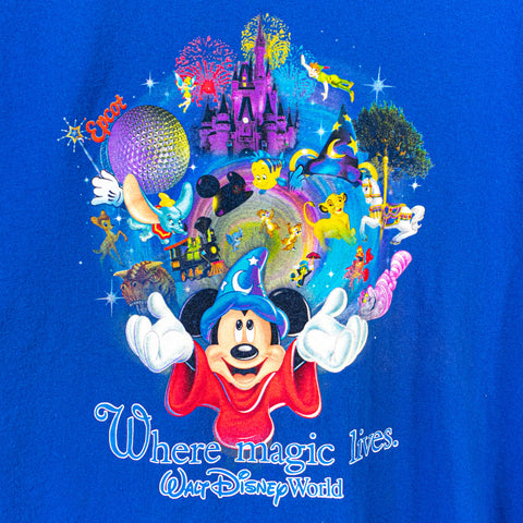 Walt Disney World Where Magic Lives Simba Jiminy Cricket Mickey Mouse T-Shirt