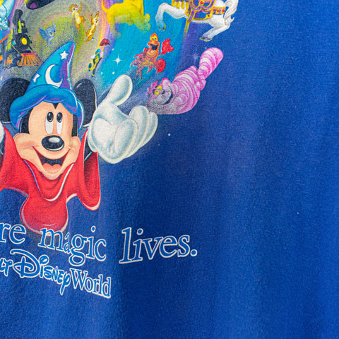 Walt Disney World Where Magic Lives Simba Jiminy Cricket Mickey Mouse T-Shirt