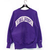 Champion Reverse Weave Northwestern University Sweatshirt