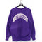 Champion Reverse Weave Northwestern University Sweatshirt