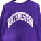 Champion Reverse Weave Northwestern University Sweatshirt