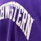 Champion Reverse Weave Northwestern University Sweatshirt