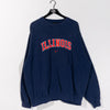 Nike University of Illinois Center Swoosh Sweatshirt