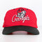 AJD University of Georgia Bulldogs Script SnapBack Hat