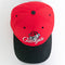 AJD University of Georgia Bulldogs Script SnapBack Hat