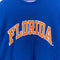 Steve & Barry's University of Florida Gators Weave Style Sweatshirt