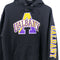 Champion University of Albany Hoodie Sweatshirt