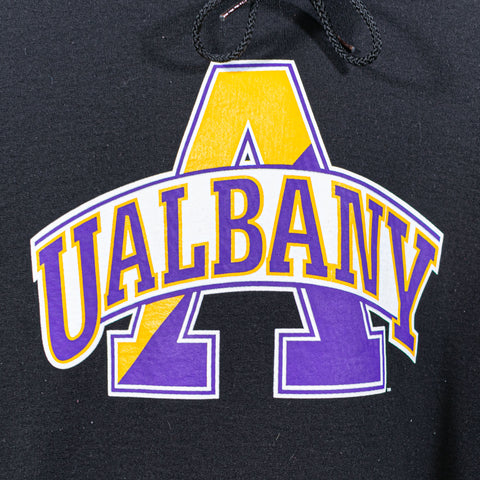 Champion University of Albany Hoodie Sweatshirt