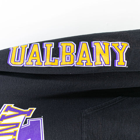 Champion University of Albany Hoodie Sweatshirt