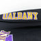 Champion University of Albany Hoodie Sweatshirt