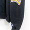 Champion University of Albany Hoodie Sweatshirt