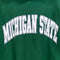 Michigan State Spartans Russell Athletic Hoodie Sweatshirt