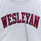 Champion Reverse Weave Wesleyan University Sweatshirt