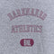 Barenaked Ladies Band Baby T-Shirt Barenaked Athletics