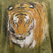 The Mountain Tiger Wilderness T-Shirt