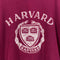 Champion Harvard University T-Shirt