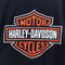 Harley Davidson Motorcycles T-Shirt New York Adirondack