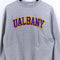 Champion University of Albany Sweatshirt Crewneck