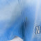 UNC University of North Carolina Cropped Hoodie Sweatshirt Faded