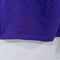 Minnesota Vikings 1998 NFC Champions T-Shirt Lightning NFL Football