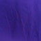 Minnesota Vikings 1998 NFC Champions T-Shirt Lightning NFL Football
