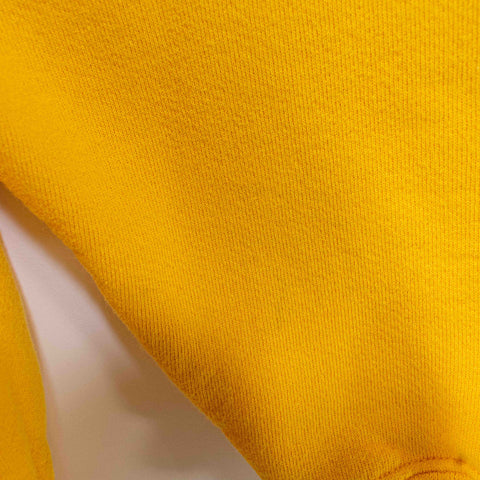 Minnesota Vikings NFL Sweatshirt Lee Sport Football