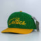 Boston Celtics Sports Specialties Script SnapBack Pinstripe