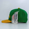 Boston Celtics Sports Specialties Script SnapBack Pinstripe