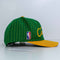 Boston Celtics Sports Specialties Script SnapBack Pinstripe