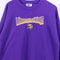 Minnesota Vikings NFL Sweatshirt Logo Athletic Football