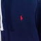 Polo Ralph Lauren Pony Hoodie Sweatshirt