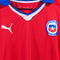 2014 PUMA Chile World Cup Jersey Soccer Futbol