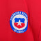 2014 PUMA Chile World Cup Jersey Soccer Futbol