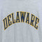 Delaware Single Stitch T-Shirt