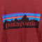 Patagonia Mountain Logo T-Shirt Long Sleeve