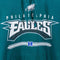 Philadelphia Eagles NFL Hoodie Sweatshirt Football