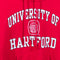 University of Hartford Hoodie Sweatshirt Jansport